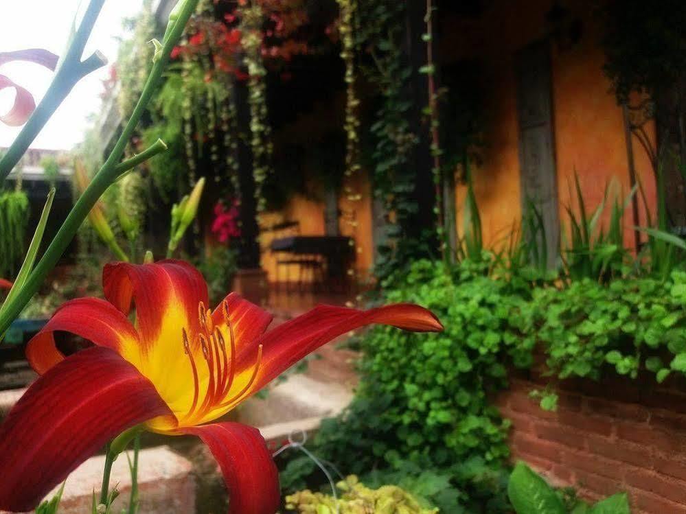 Eterna Primavera Hotel